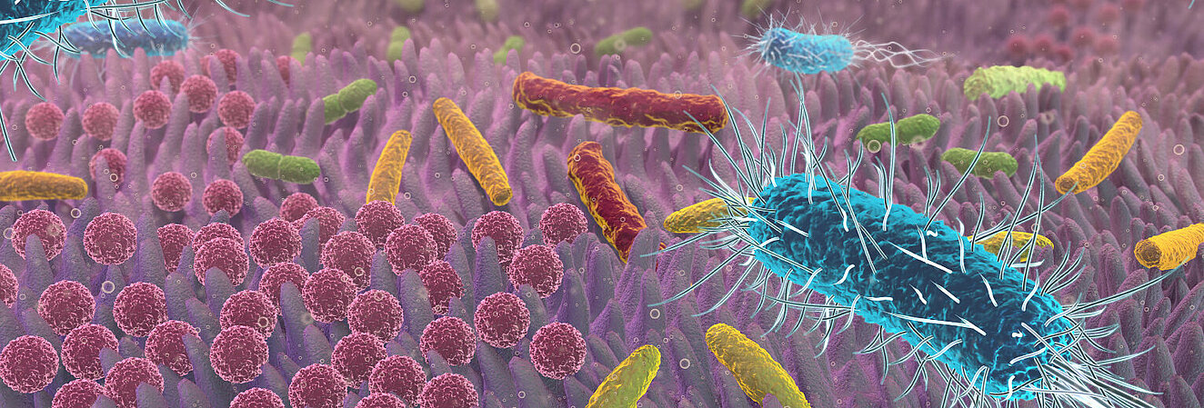 Bakterien © Alex / stock.adobe.com