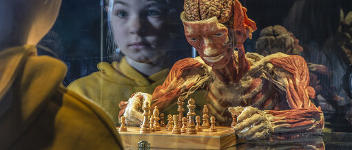 © David Tood / Körperwelten