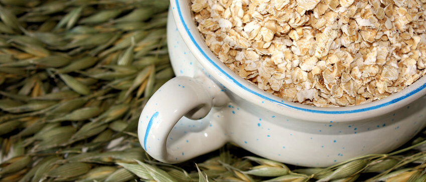 Haferflocken auf Haferrispen