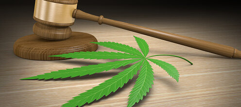 Hanfblatt mit Richterhammer