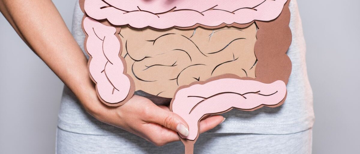 Eine Frau hält eine Konstruktion des Darms aus Papier vor ihren Bauch.