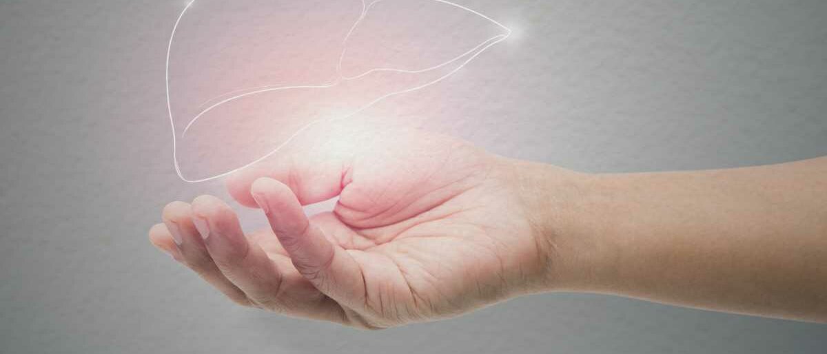 Über einer Männerhand schwebt eine illustrierte Leber.