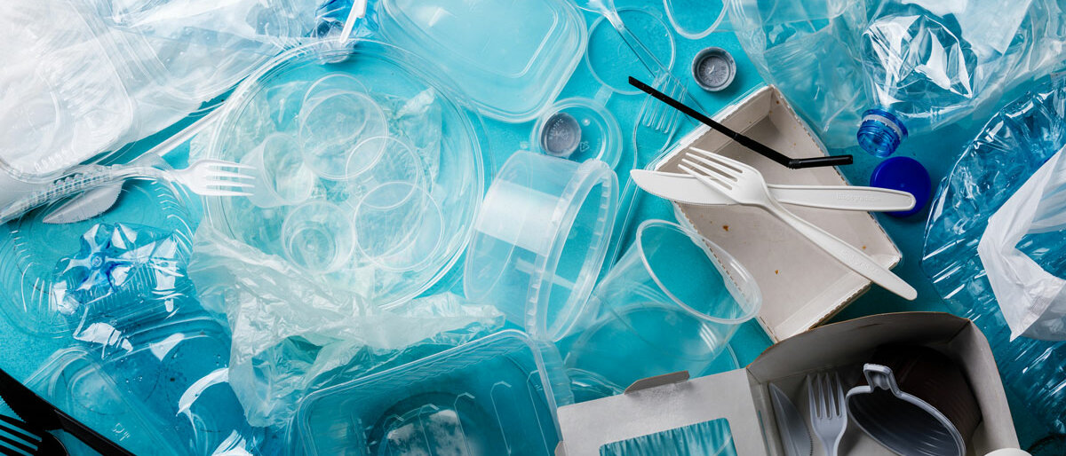 Eine Auswahl an Wegwerf-Artikeln aus Plastik in einem Wimmelbild