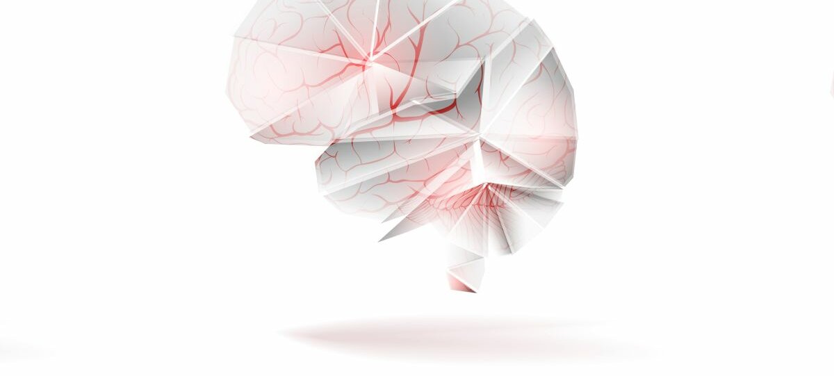 Grafische Darstellung des Gehirns mit Arterien.