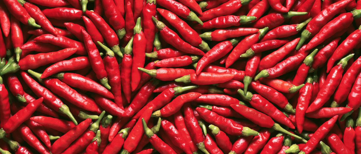 viele kleine rote Chilischoten