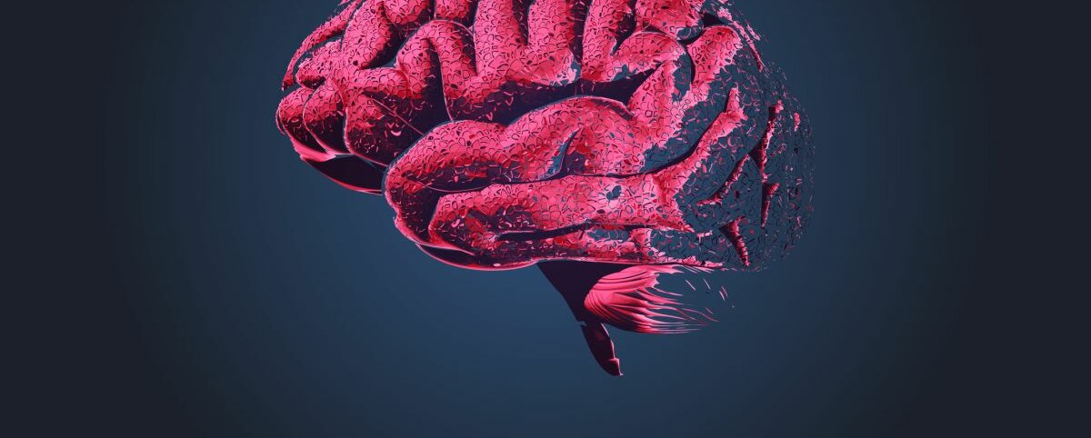 Gehirn Eine Illustration eines Gehirns.