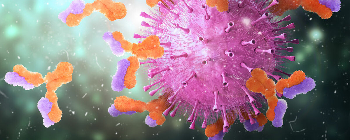Eine Darstellung von Antikörpern, die an ein Virus andocken.