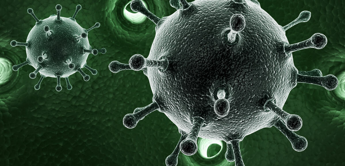 Hepatitis-Viren in 3D-Ansicht