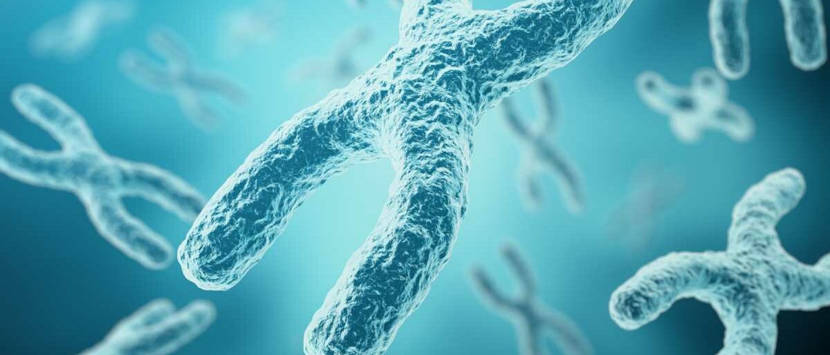 Mehrere Chromosome sind grafisch dargestellt.