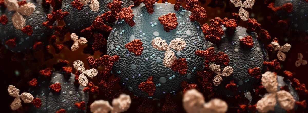 3D-Rendering-Illustration von monoklonalen Antikörpern im Kampf gegen eine Gruppe von Coronaviren.