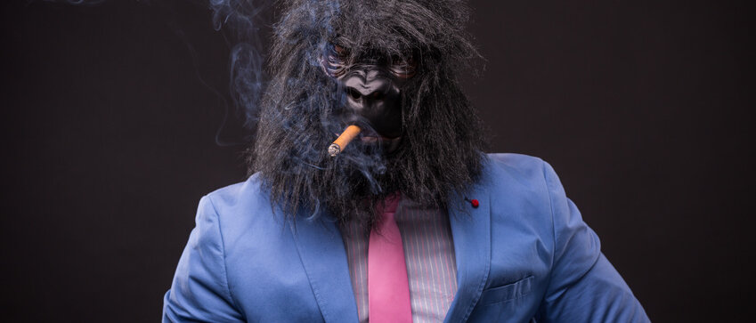 Rauchender Mann mit Gorillamaske