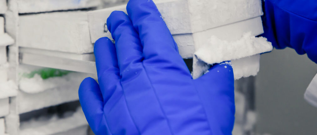 Eine Person in Schutzausrüstung nimmt eine Box mit Glasampullen aus einem Tiefkühlschrank.