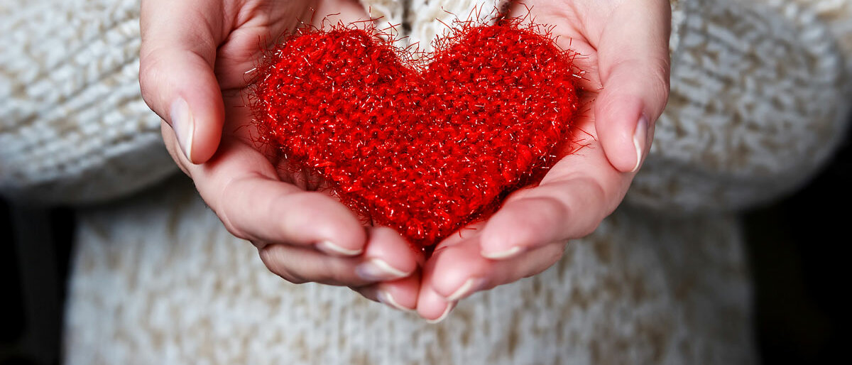 Organspende Eine Hand hält ein Herz in der Hand