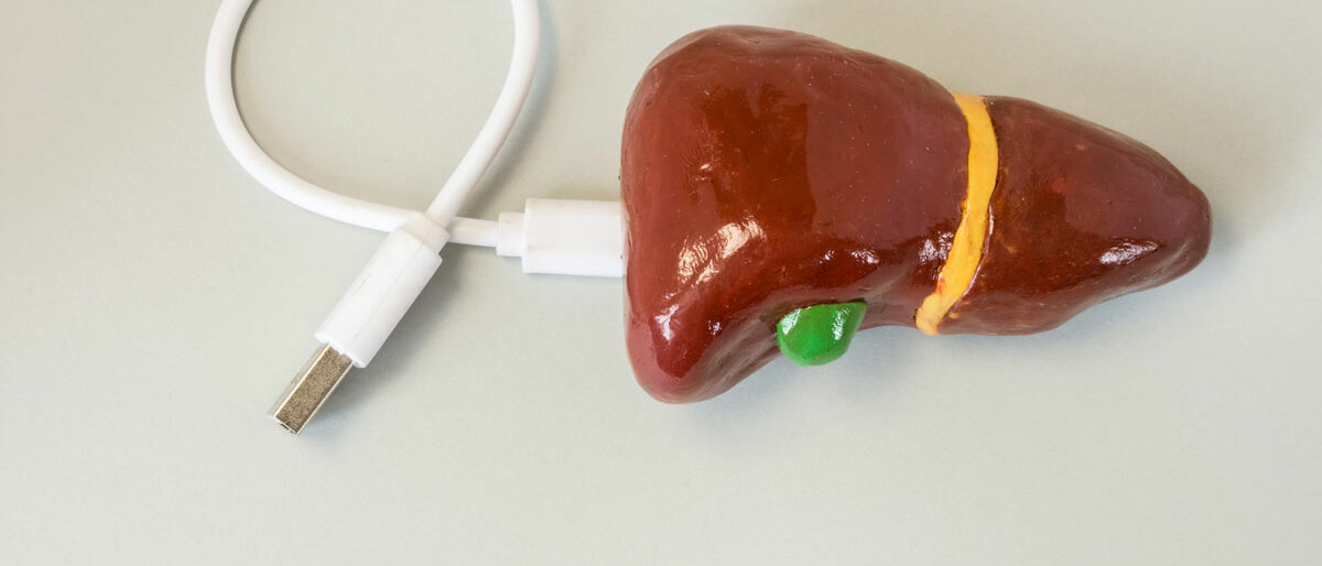 Ein Leber-Modell, das mit einem USB-Anschluss ausgestattet ist