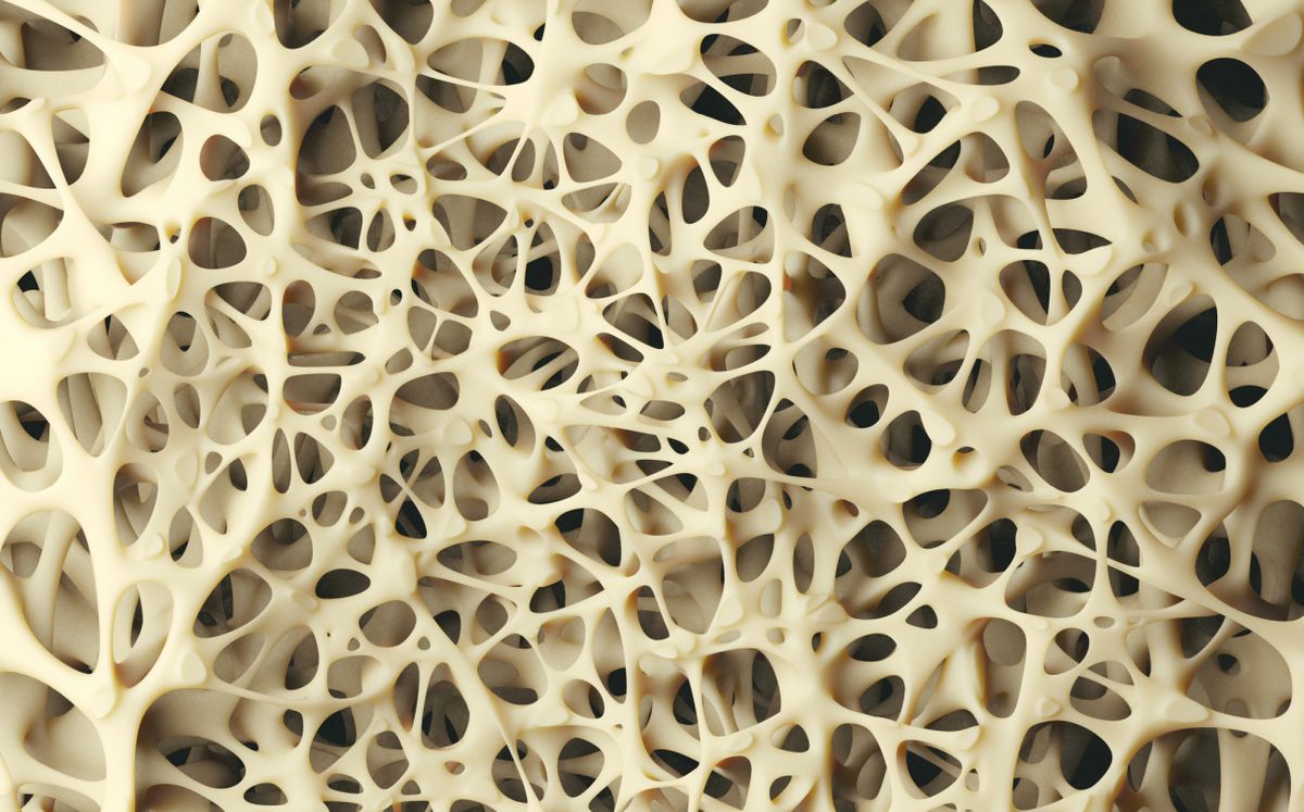 Knochenabbau vorbeugen