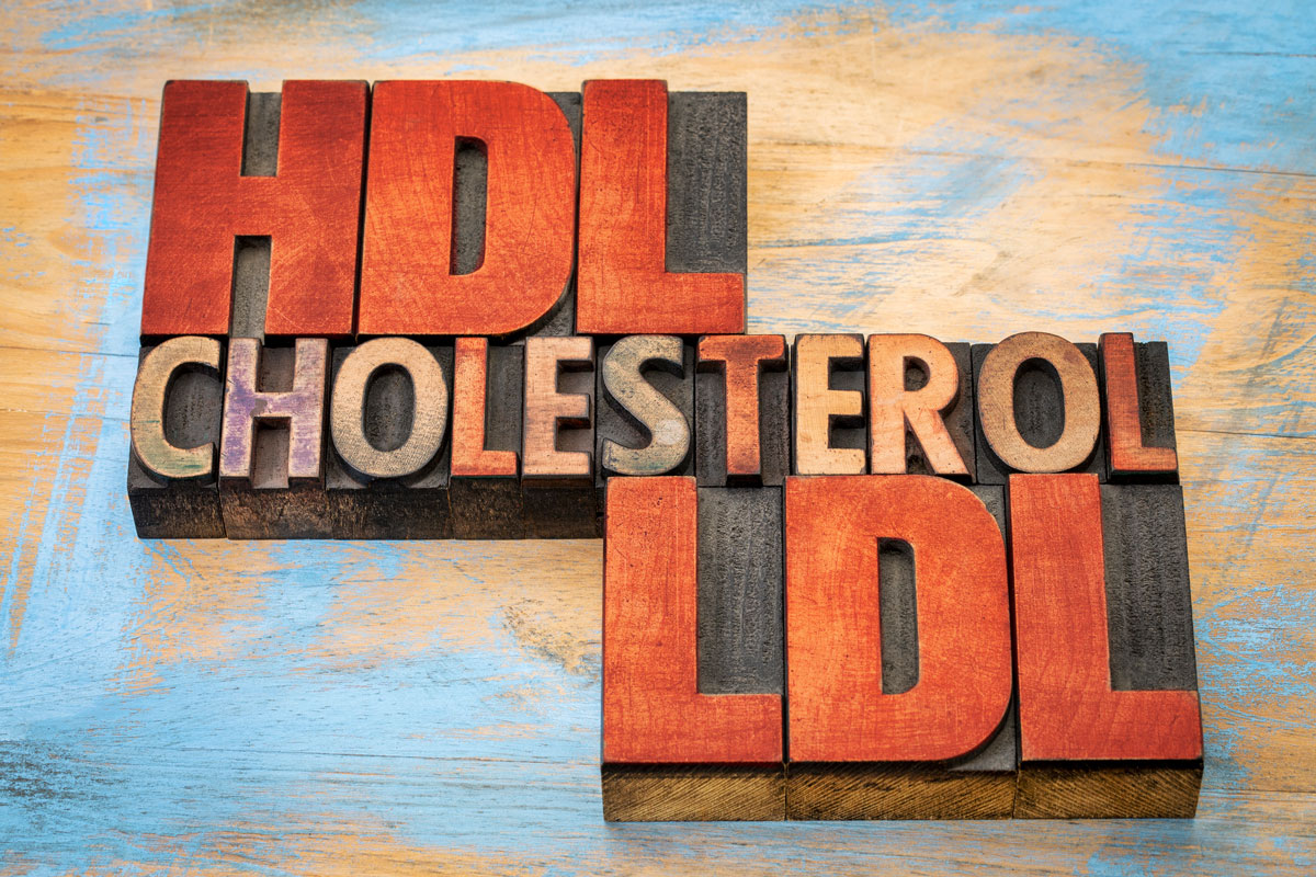 Cholesterin HDL, der Gegenspieler des LDL