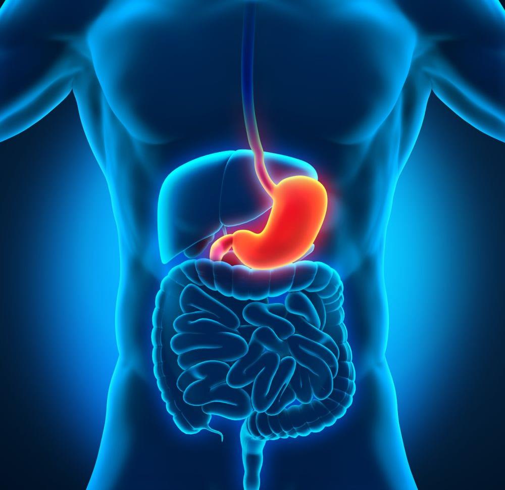 Magenbeschwerden – Teil 1